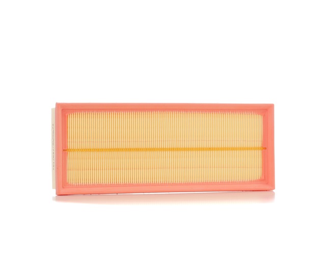 RIDEX Oro filtras (kodas: 8A0004) - AutoKasta.lt auto dalių parduotuvė