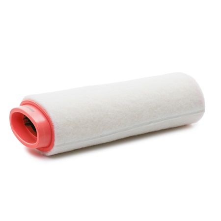 RIDEX Oro filtras (kodas: 8A0010) - AutoKasta.lt auto dalių parduotuvė