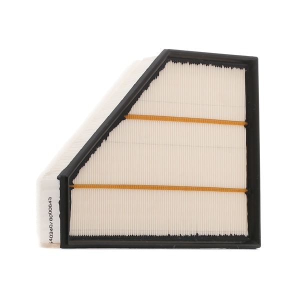 RIDEX Oro filtras (kodas: 8A0032) - AutoKasta.lt auto dalių parduotuvė