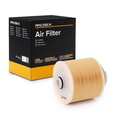 RIDEX Oro filtras (kodas: 8A0128) - AutoKasta.lt auto dalių parduotuvė