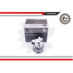 hidraulinis siurblys, vairo sistema
                                ESEN SKV                                                1