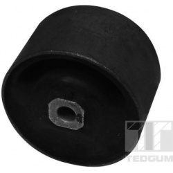 variklio montavimas
                                TEDGUM                                                00465454, TEDGUM, 0