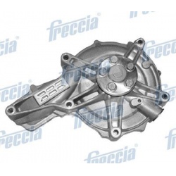 Vandens siurblys, variklio aušinimas
                                FRECCIA                                WP0575, FRECCIA,