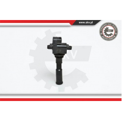 ritė, uždegimas
                                ESEN SKV                                                03SKV030, Nenurodyt