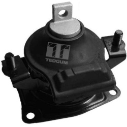 variklio montavimas
                                TEDGUM                                                00263076, TEDGUM, 0