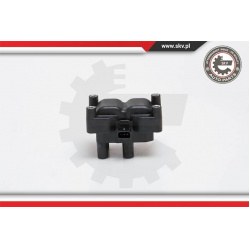 ritė, uždegimas
                                ESEN SKV                                                03SKV108, Nenurodyt