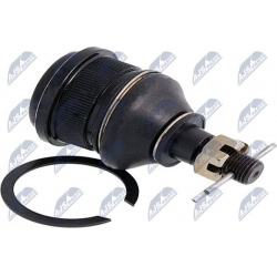 Šarnyras
                                NTY                                                ZSD-MS-031, NTY, ZSD-MS-031, aut