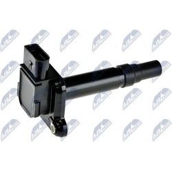 ritė, uždegimas
                                NTY                                                ECZ-AU-005, NTY, ECZ-AU-