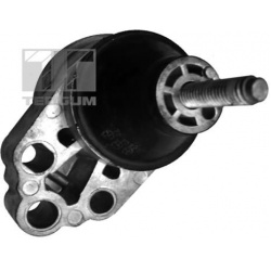 variklio montavimas
                                TEDGUM                                                00226305, TEDGUM, 0