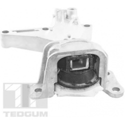 variklio montavimas
                                TEDGUM                                TED61737, TEDGUM, TED61737, auto de