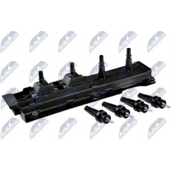 ritė, uždegimas
                                NTY                                                ECZ-PE-006, NTY, ECZ-PE-