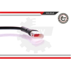 Daviklis ABS
                                ESEN SKV                                                06SKV107, Nenurodytas ga