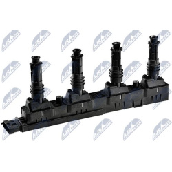 ritė, uždegimas
                                NTY                                                ECZ-PL-008, NTY, ECZ-PL-
