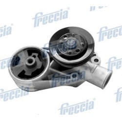 Vandens siurblys, variklio aušinimas
                                FRECCIA                                                