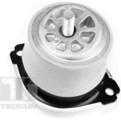 variklio montavimas
                                TEDGUM                                                00728486, TEDGUM, 0