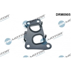 tarpiklis, EGR vožtuvas
                                Dr.Motor Automotive                                                D
