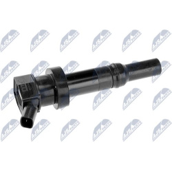 Ritė, uždegimas
                                NTY                                                ECZ-KA-305, NTY, ECZ-KA-