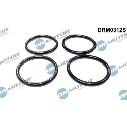 tarpiklių rinkinys, įsiurbimo kolektorius
                                Dr.Motor Automotive                              