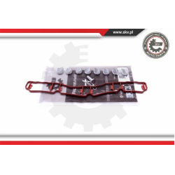 remonto komplektas, įsiurbimo kolektoriaus modulis
                                ESEN SKV                                 