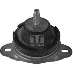 variklio montavimas
                                TEDGUM                                                00514176, TEDGUM, 0