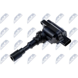ritė, uždegimas
                                NTY                                                ECZ-KA-311, NTY, ECZ-KA-