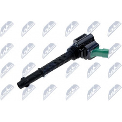 ritė, uždegimas
                                NTY                                                ECZ-FT-019, NTY, ECZ-FT-