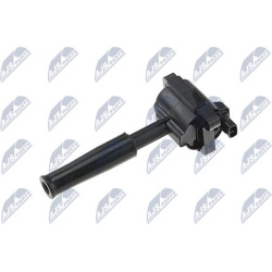ritė, uždegimas
                                NTY                                                ECZ-LR-012, NTY, ECZ-LR-