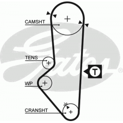 paskirstymo diržas PowerGrip™
                                GATES                                                5253XS,
