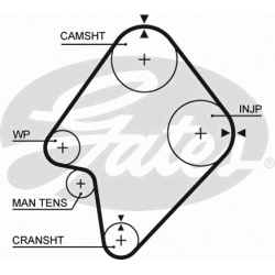 paskirstymo diržas PowerGrip™
                                GATES                                                5300XS,