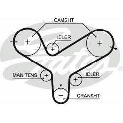 paskirstymo diržas PowerGrip™
                                GATES                                                5342XS,