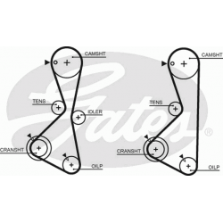 paskirstymo diržas PowerGrip™
                                GATES                                                5373XS,