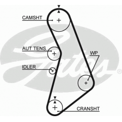 paskirstymo diržas PowerGrip™
                                GATES                                                5491XS,