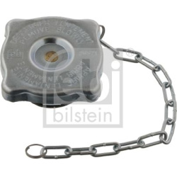 dangtelis, radiatorius
                                FEBI BILSTEIN                                                06571, FE