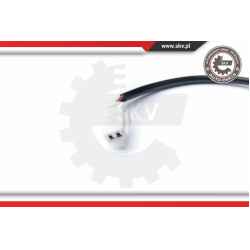 Daviklis ABS
                                ESEN SKV                                06SKV255, Nenurodytas gamintojas, 06SKV2