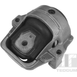 variklio montavimas
                                TEDGUM                                                00058583, TEDGUM, 0