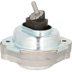 variklio montavimas
                                TEDGUM                                                00088530, TEDGUM, 0