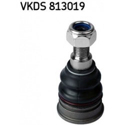 Šarnyras
                                SKF                                                VKDS 813019, SKF, VKDS813019, au