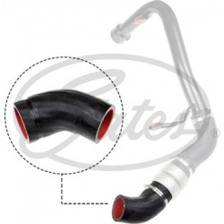 kompresoriaus padavimo žarna
                                GATES                                                09-1319, G