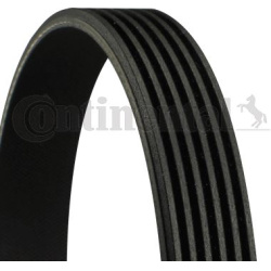 Diržas juostinis
                                CONTINENTAL CTAM                                                6PK2080, CO