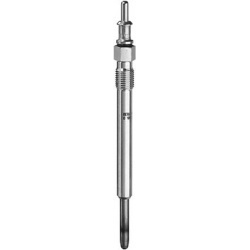 Žvakė dyzelio
                                BorgWarner (BERU)                                                GN003, BorgW