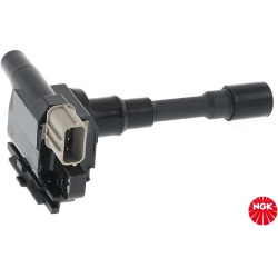 Ritė, uždegimas
                                NGK                                                U4008, NGK, U4008, auto 