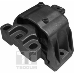 variklio montavimas
                                TEDGUM                                00725548, TEDGUM, 00725548, auto de