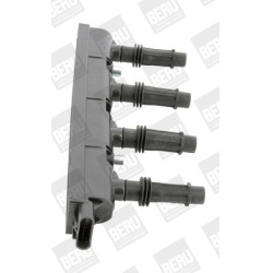 Ritė uždegimo babina
                                BorgWarner (BERU)                                ZSE185, BorgWarner (B