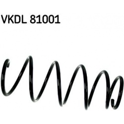 spyruoklė
                                SKF                                                VKDL 81001, SKF, VKDL81001, aut