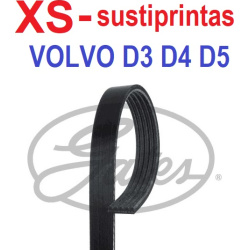 Diržas juostinis
                                GATES                                5PK1123XS, GATES, 5PK1123XS, auto deta