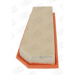 oro filtras
                                CHAMPION                                CAF101139P, CHAMPION, CAF101139P, auto de
