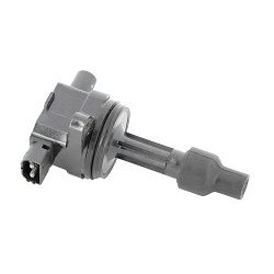 ritė, uždegimas
                                BorgWarner (BERU)                                ZS 429, BorgWarner (BERU),