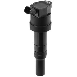 ritė, uždegimas
                                BorgWarner (BERU)                                ZS 478, BorgWarner (BERU),