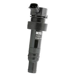ritė, uždegimas
                                BorgWarner (BERU)                                ZS551, BorgWarner (BERU), 