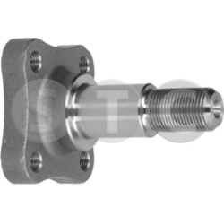 ašies kakliukas, ašies korpusas
                                STC                                                T490130,